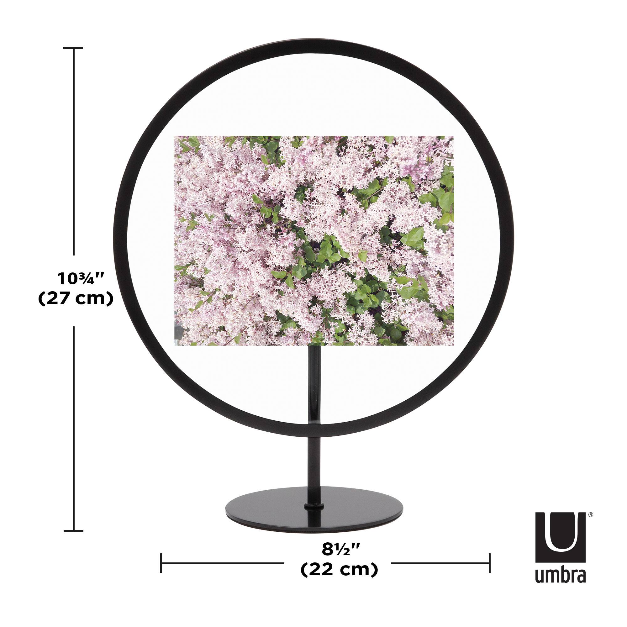 Umbra Black Infinity Round 4" X 6" Picture Frame